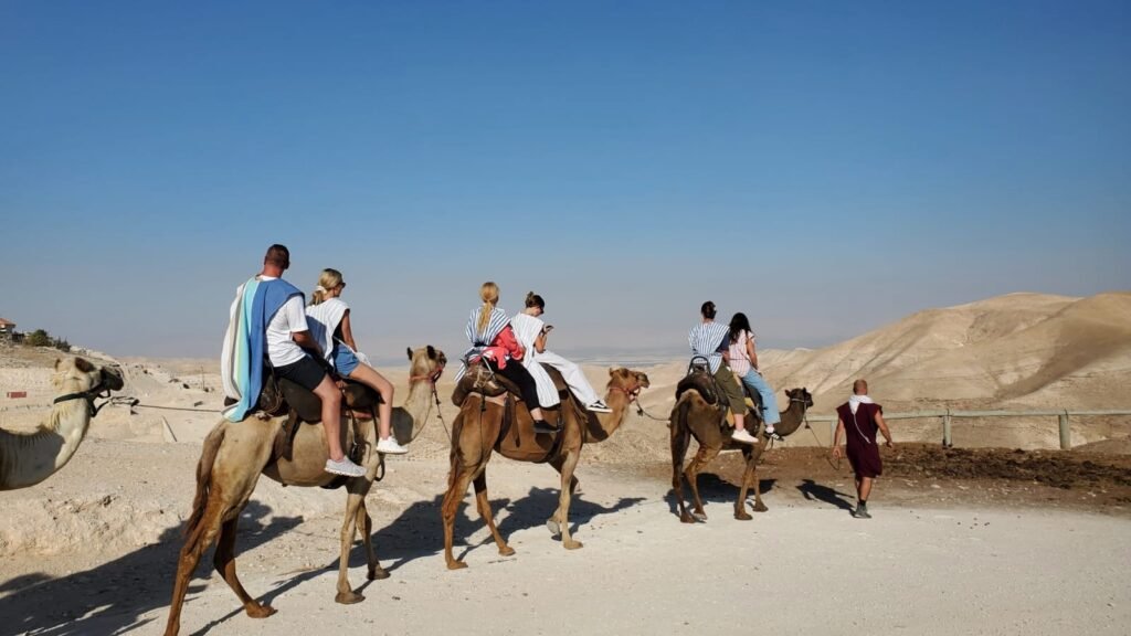 Riding camels in Israel