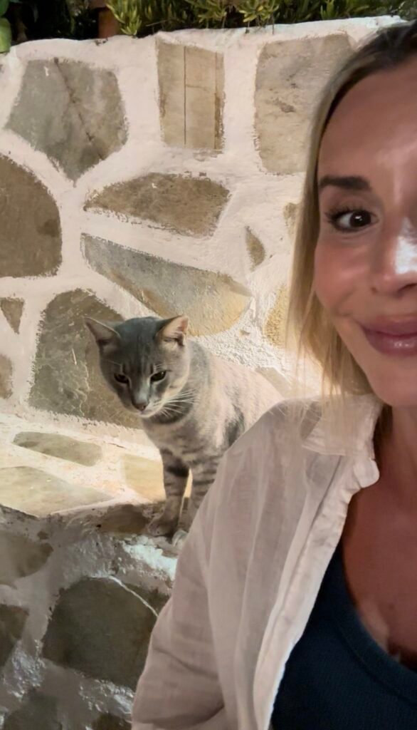 Cat at a restaurant in Milos Greece